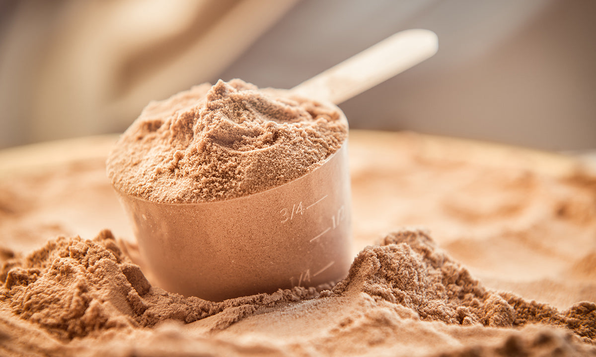 We've Got The Scoop On Protein: WHEN, WHAT AND HOW MUCH?